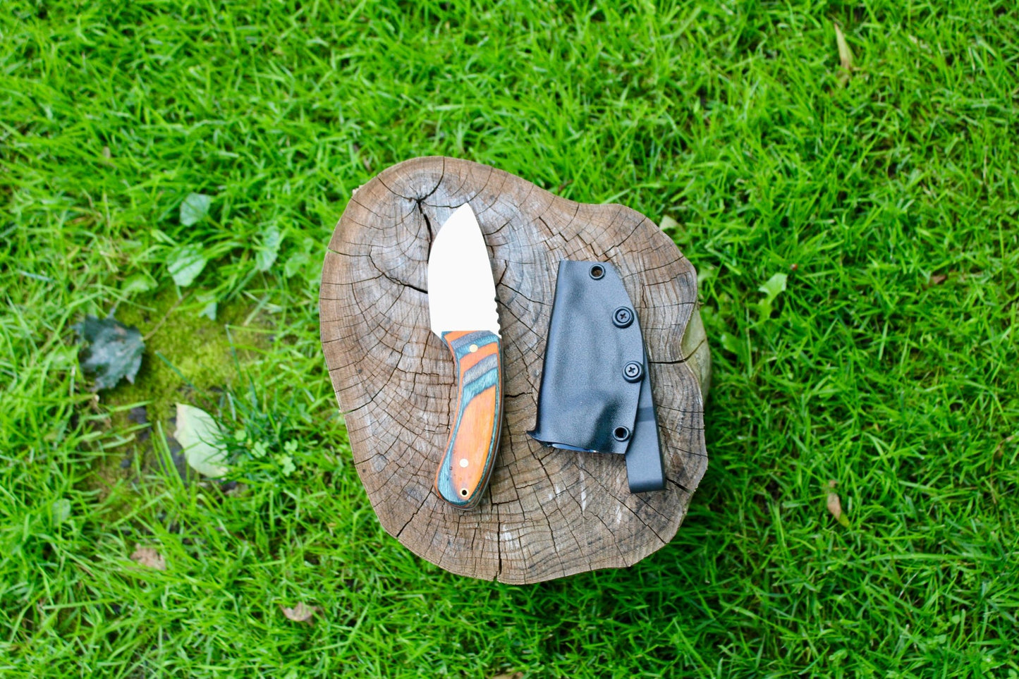 The Timberland Skinner - Rugged Wrangler