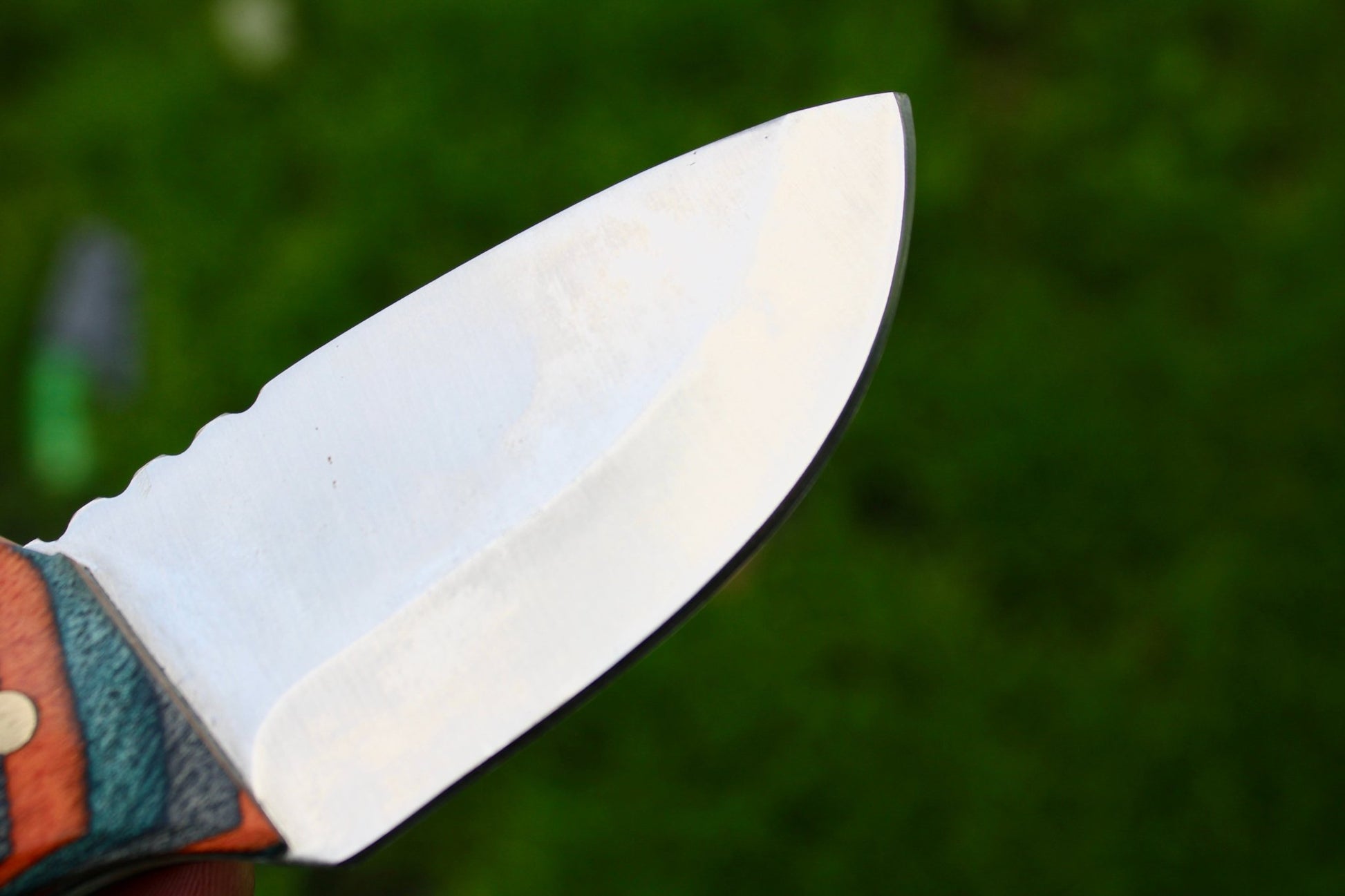 The Timberland Skinner - Rugged Wrangler