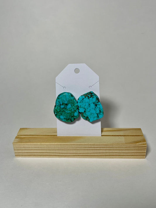 Turquoise Stone Earrings - My Store
